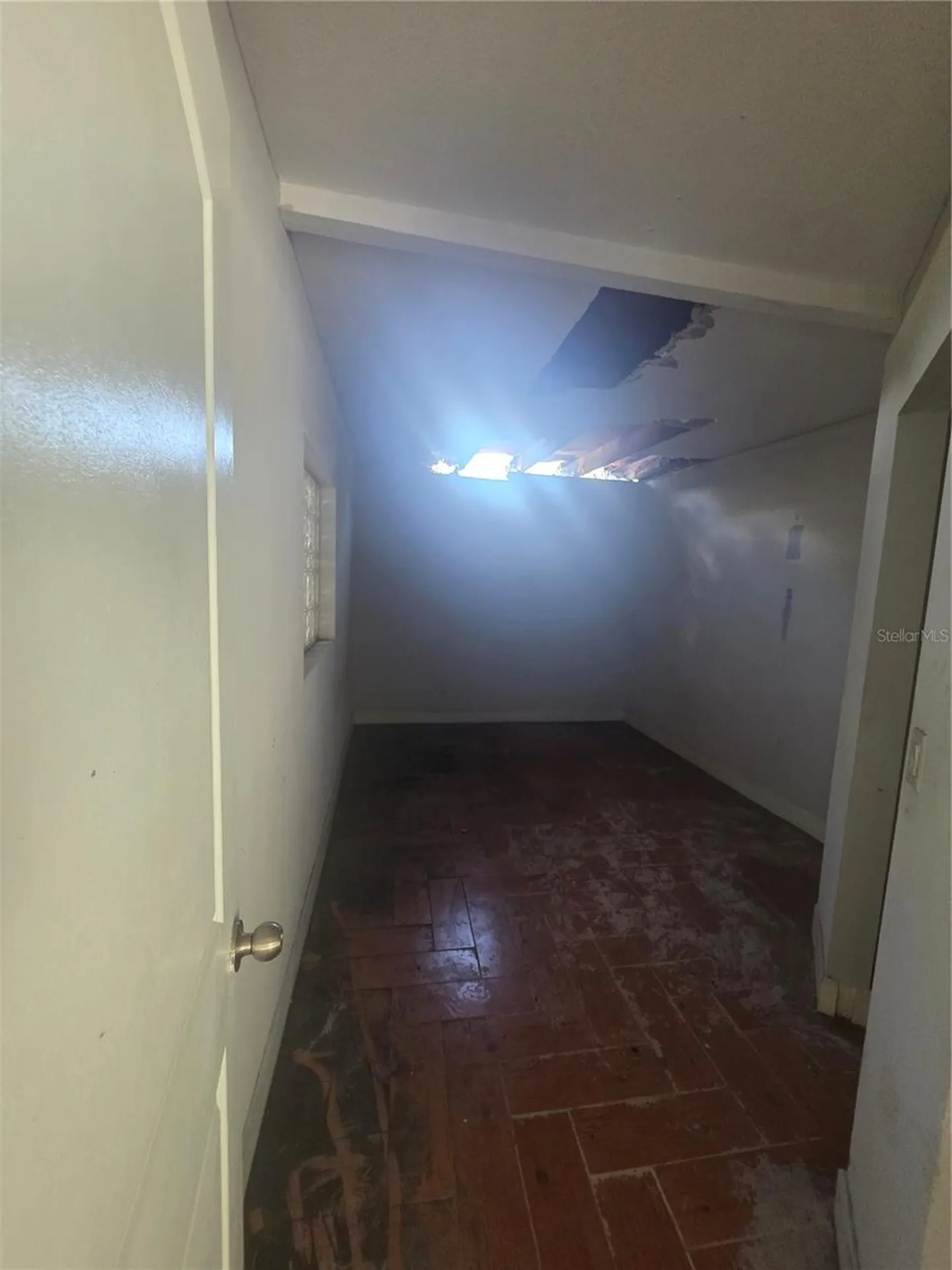 12521 Pittsfield Avenue Tampa FL 33624