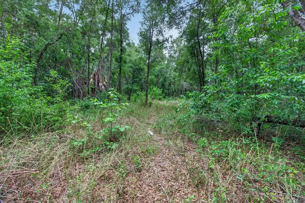 0 Cortez Boulevard Brooksville FL 34601