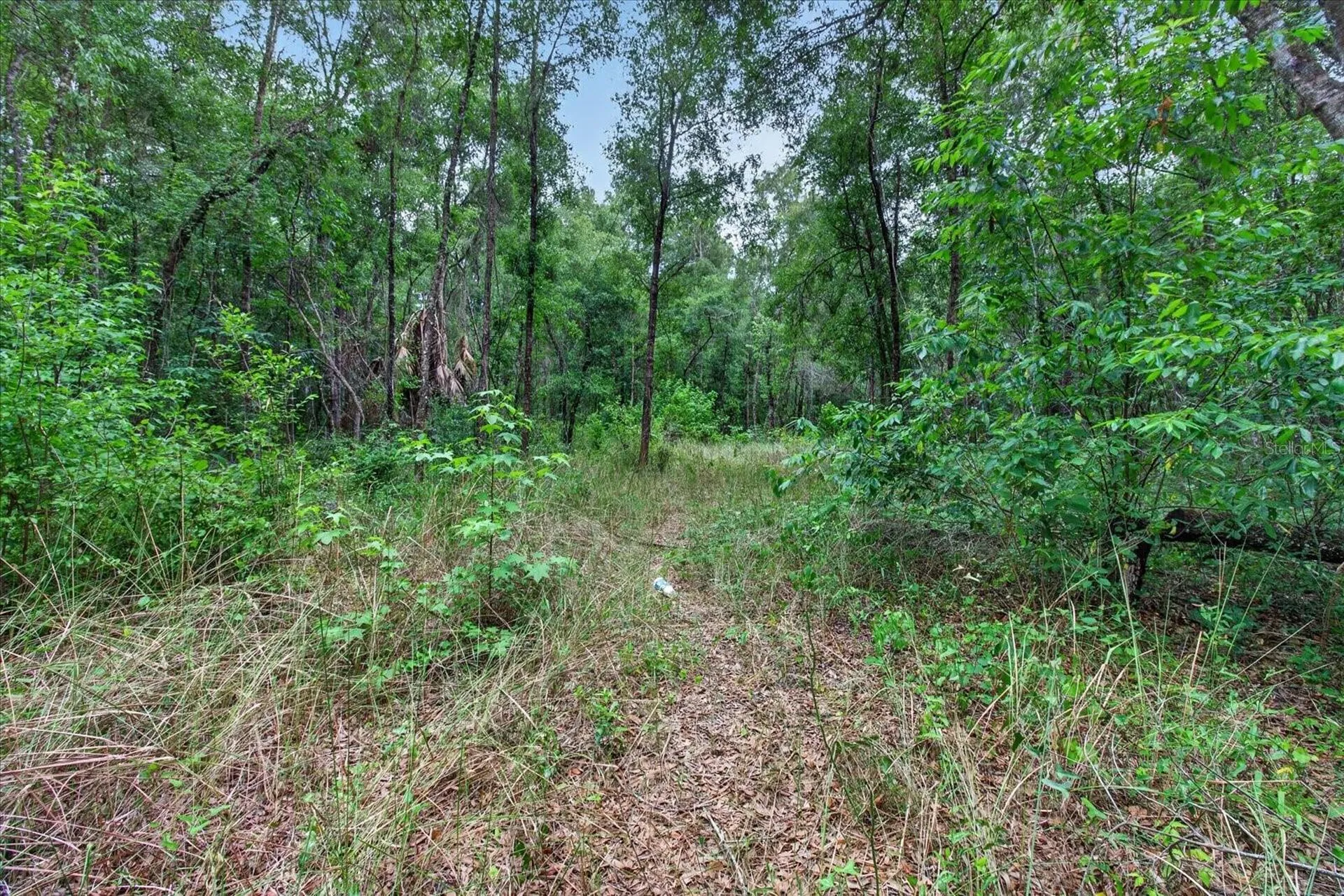 0 Cortez Boulevard Brooksville FL 34601