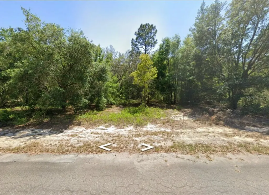 0 Guava Lane Place Ocklawaha FL 32179