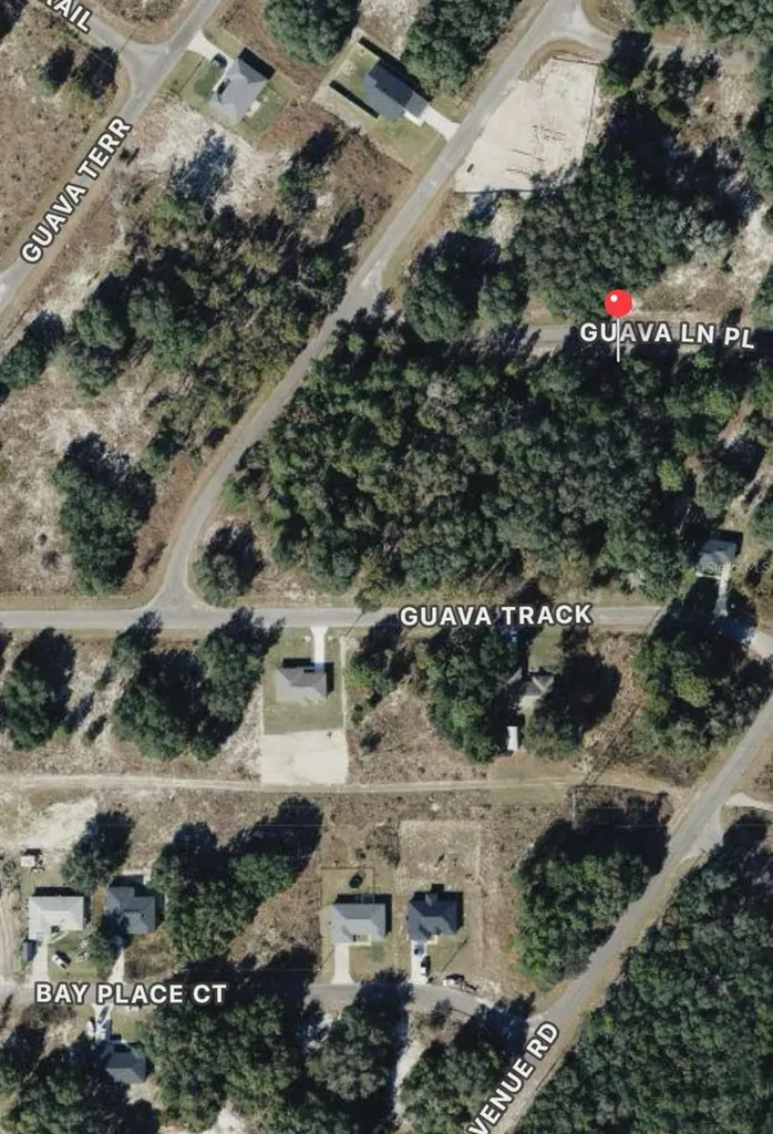 0 Guava Lane Place Ocklawaha FL 32179