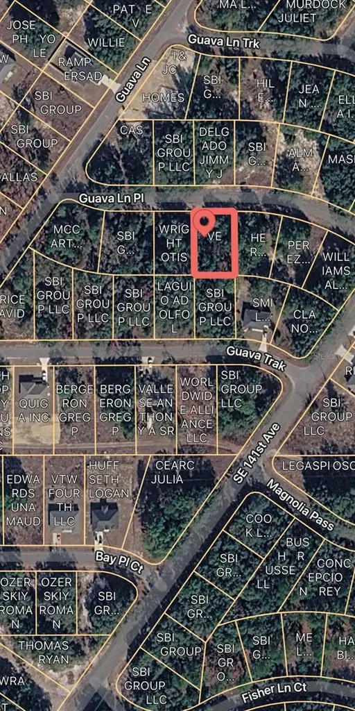 0 Guava Lane Place Ocklawaha FL 32179