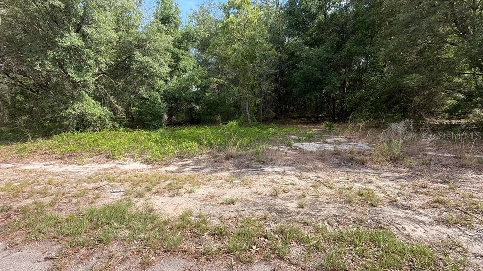 0 Guava Lane Place Ocklawaha FL 32179
