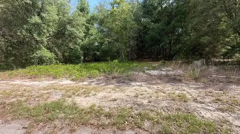 0 Guava Lane Place Ocklawaha FL 32179