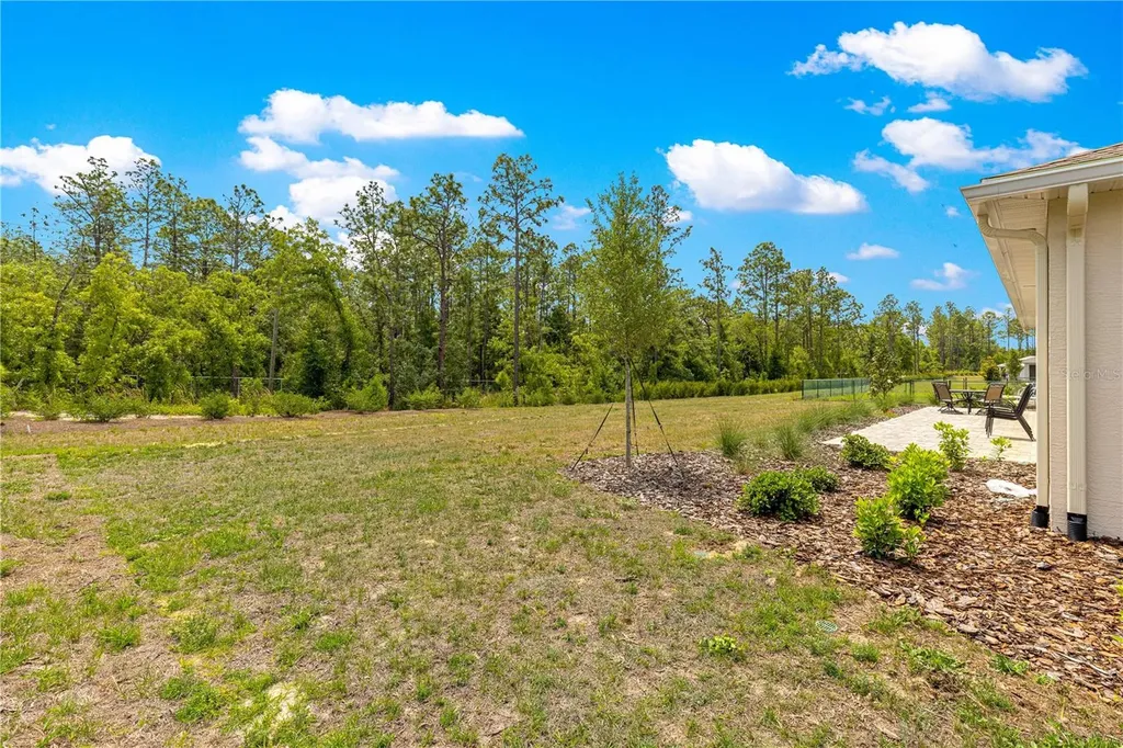 10050 SW 106th Circle Ocala FL 34481