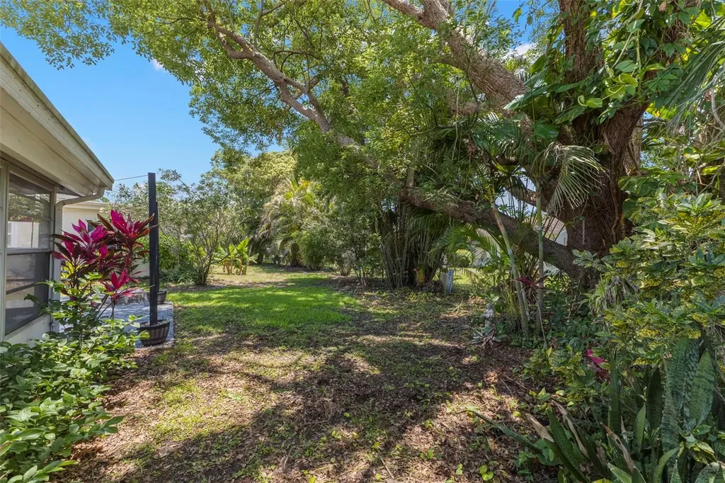 2954 Curling Court Palm Harbor FL 34684