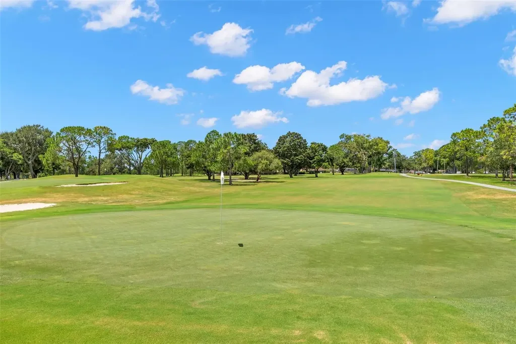 2954 Curling Court Palm Harbor FL 34684
