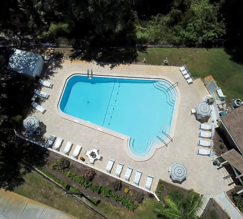 2954 Curling Court Palm Harbor FL 34684