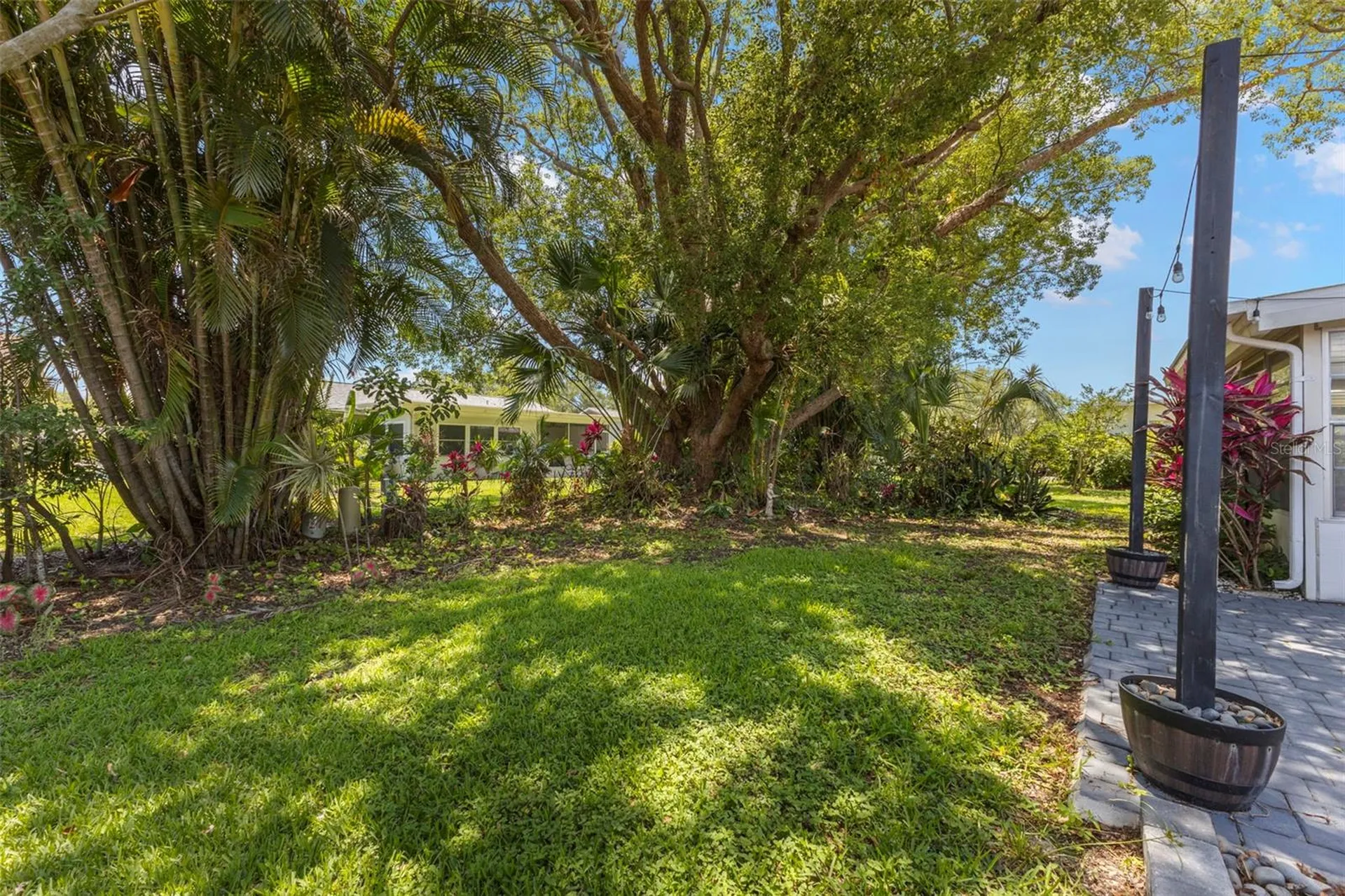 2954 Curling Court Palm Harbor FL 34684