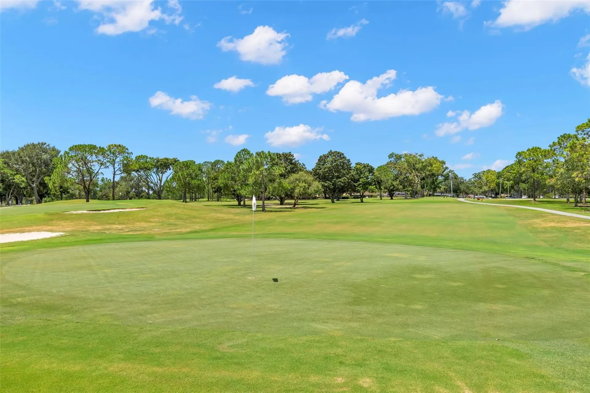 2954 Curling Court Palm Harbor FL 34684