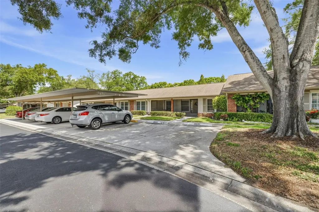 1128 Tarridon Court Dunedin FL 34698