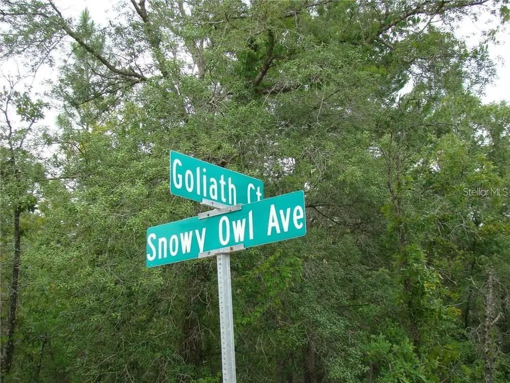 0 Goliath Court Weeki Wachee FL 34614