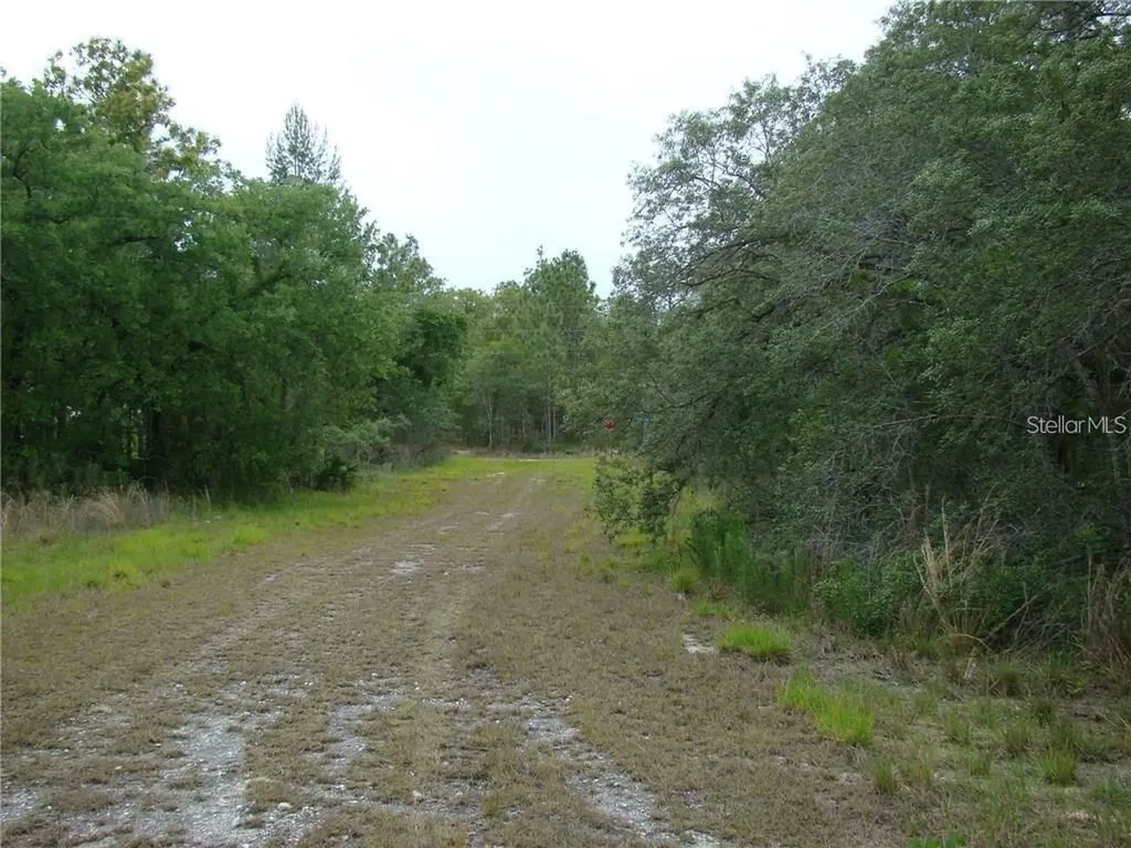 0 Goliath Court Weeki Wachee FL 34614