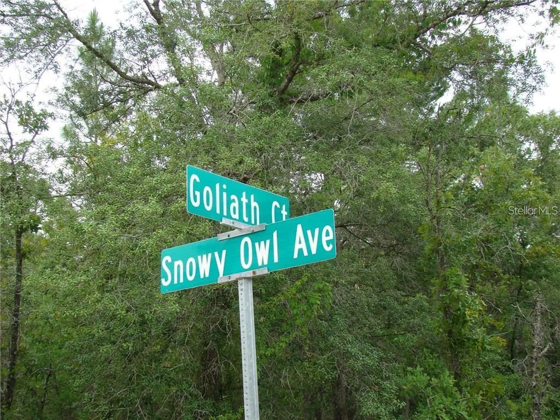 0 Goliath Court Weeki Wachee FL 34614