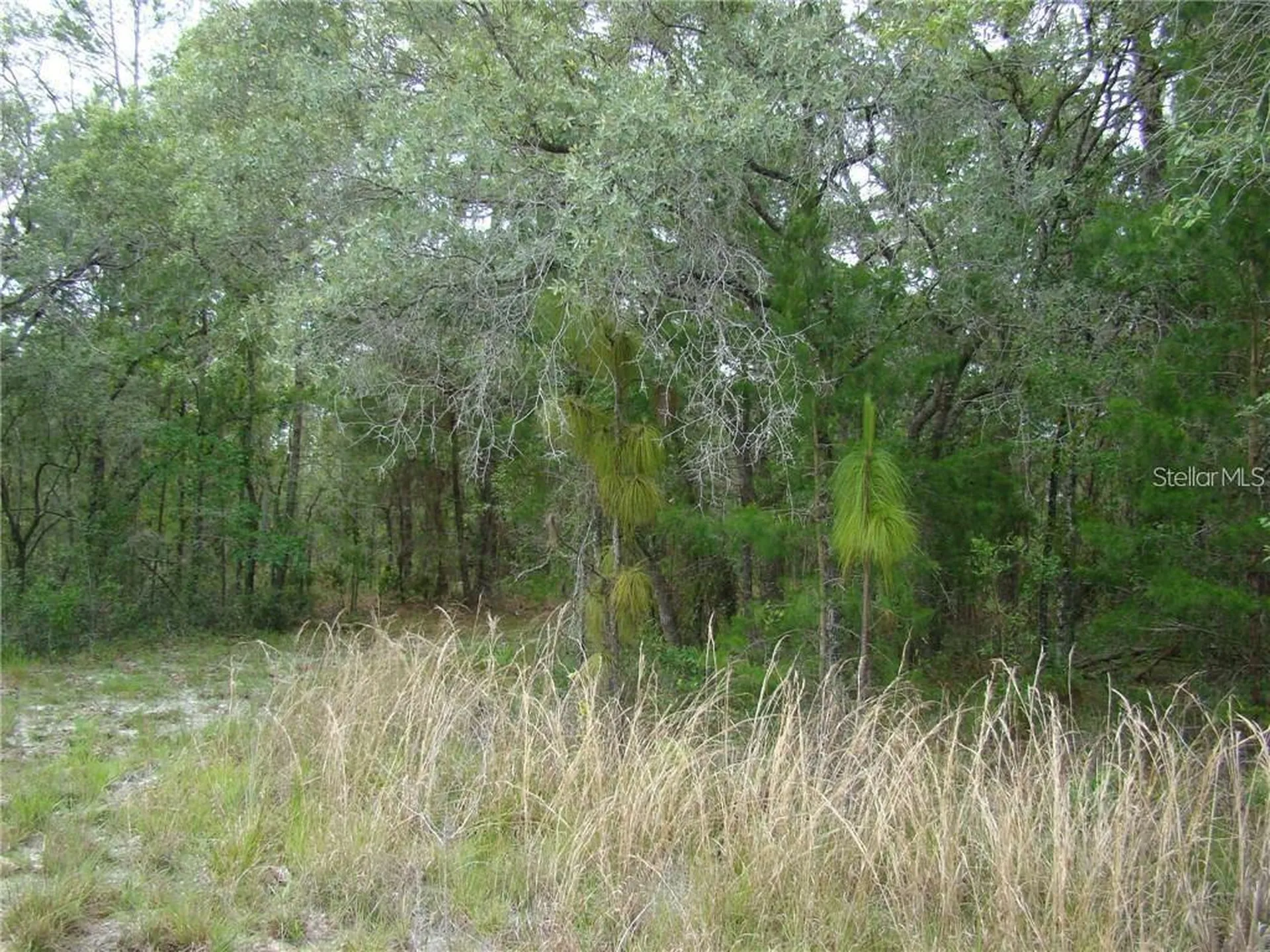 0 Goliath Court Weeki Wachee FL 34614
