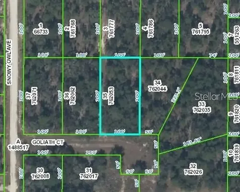 0 Goliath Court Weeki Wachee FL 34614