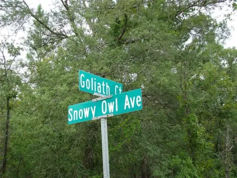 0 Goliath Court Weeki Wachee FL 34614
