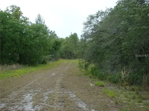 0 Goliath Court Weeki Wachee FL 34614