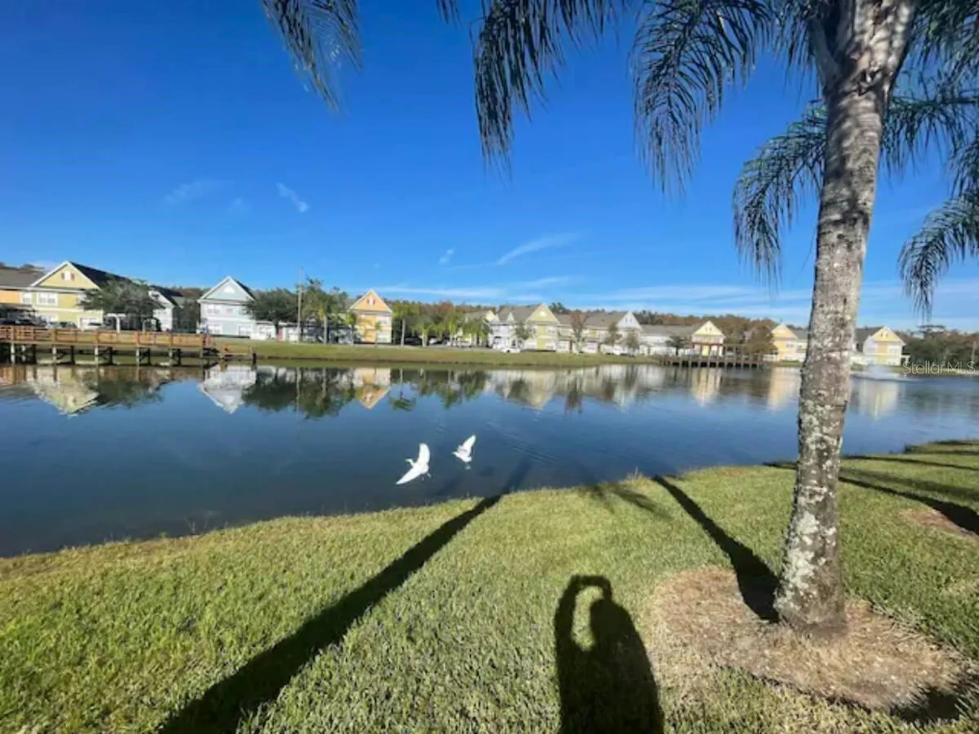 2219 San Vittorino Circle Kissimmee FL 34741