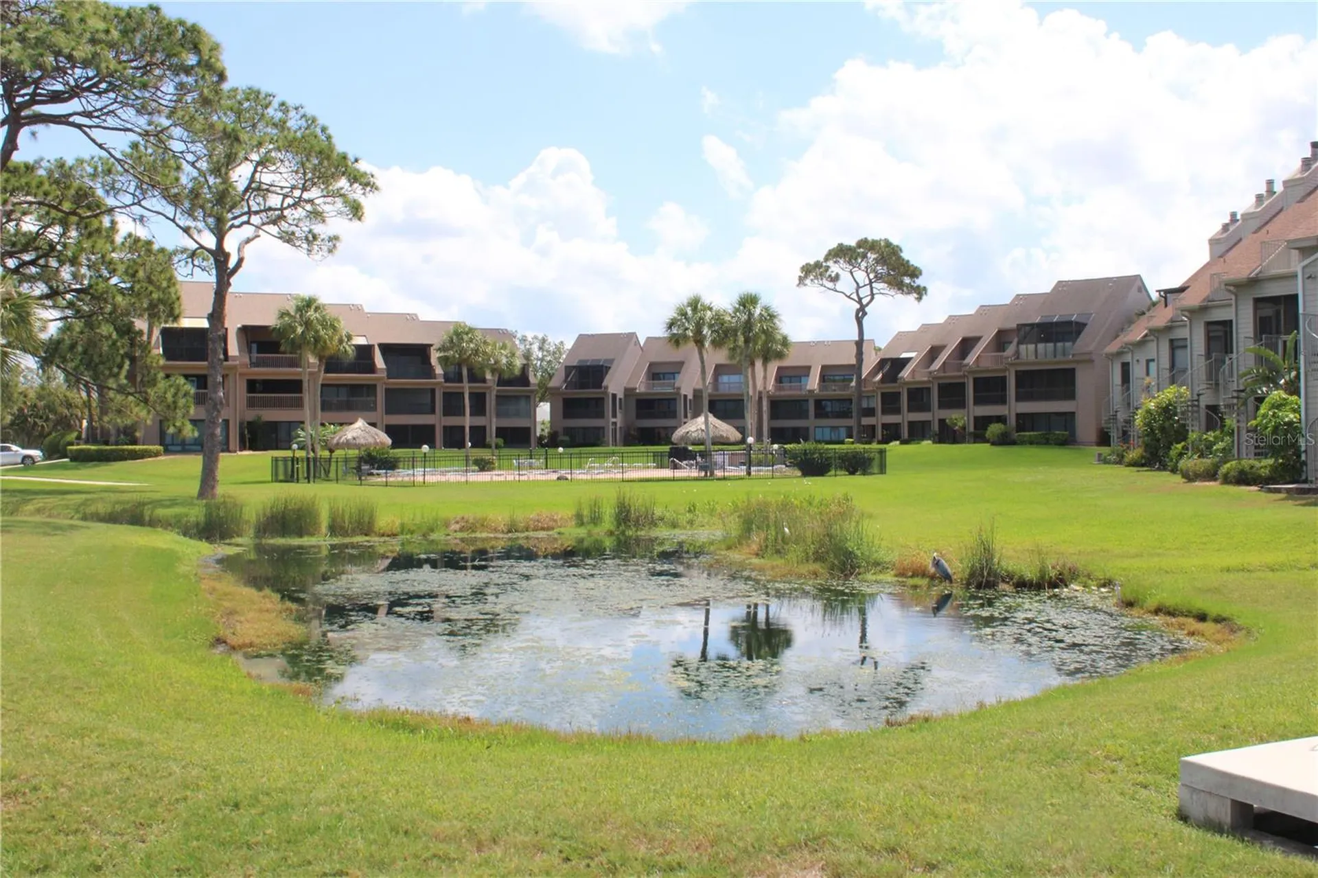 335 Windrush Loop Tarpon Springs FL 34689