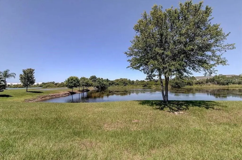 6022 Sweet Birch Drive Riverview FL 33578
