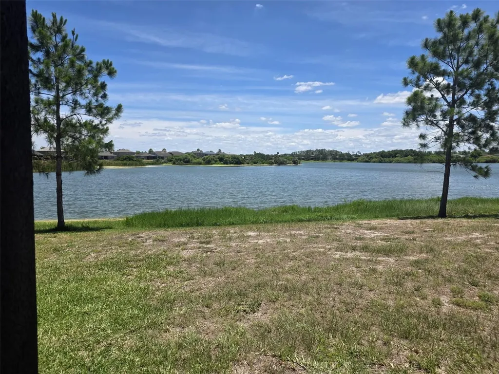 6022 Sweet Birch Drive Riverview FL 33578