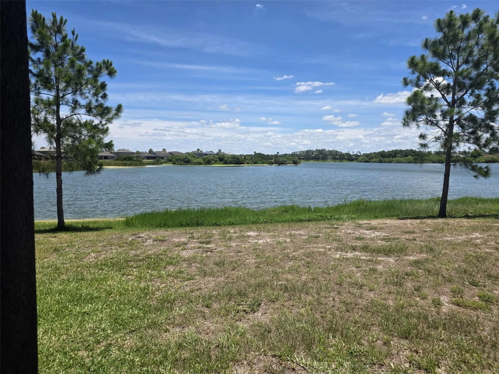 6022 Sweet Birch Drive Riverview FL 33578