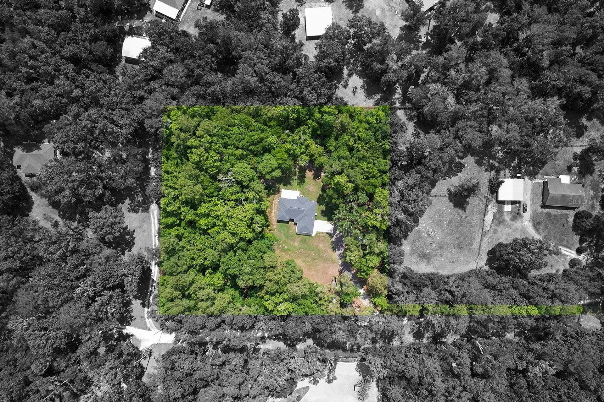 4369 SE 130th Street Belleview FL 34420