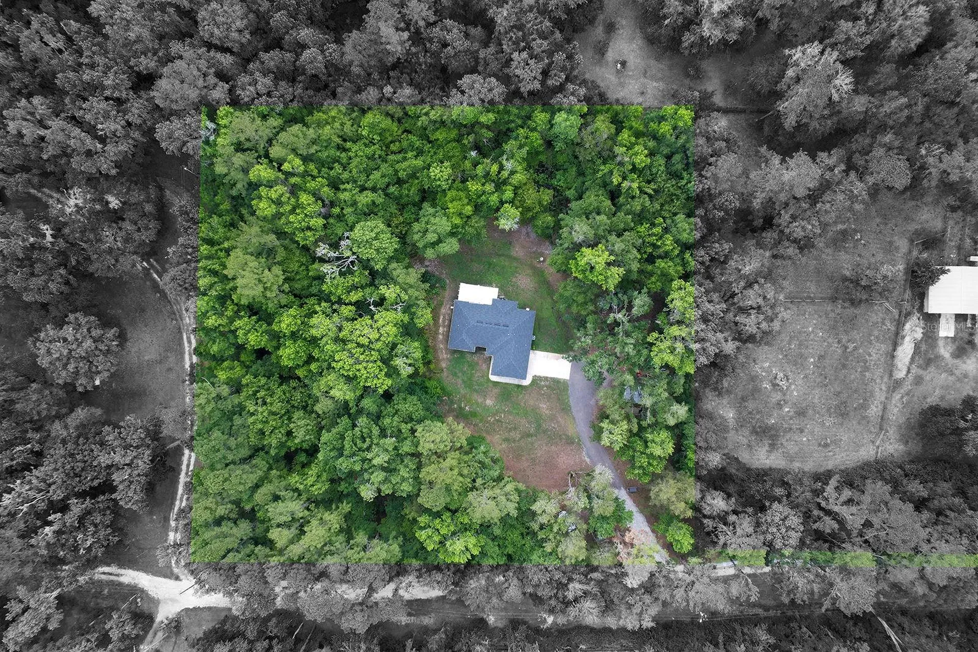 4369 SE 130th Street Belleview FL 34420