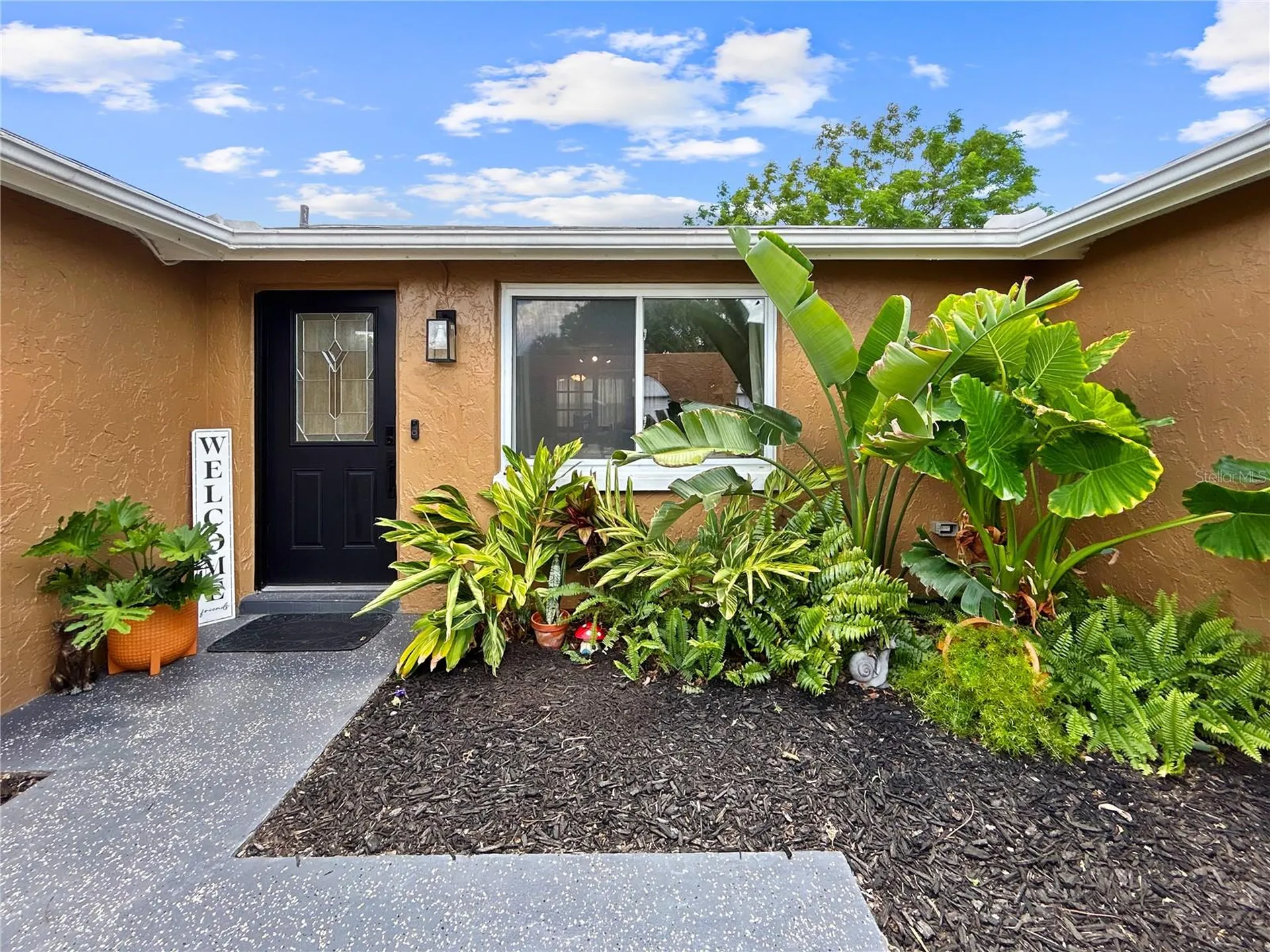 6904 Tierra Linda Street Port Richey FL 34668