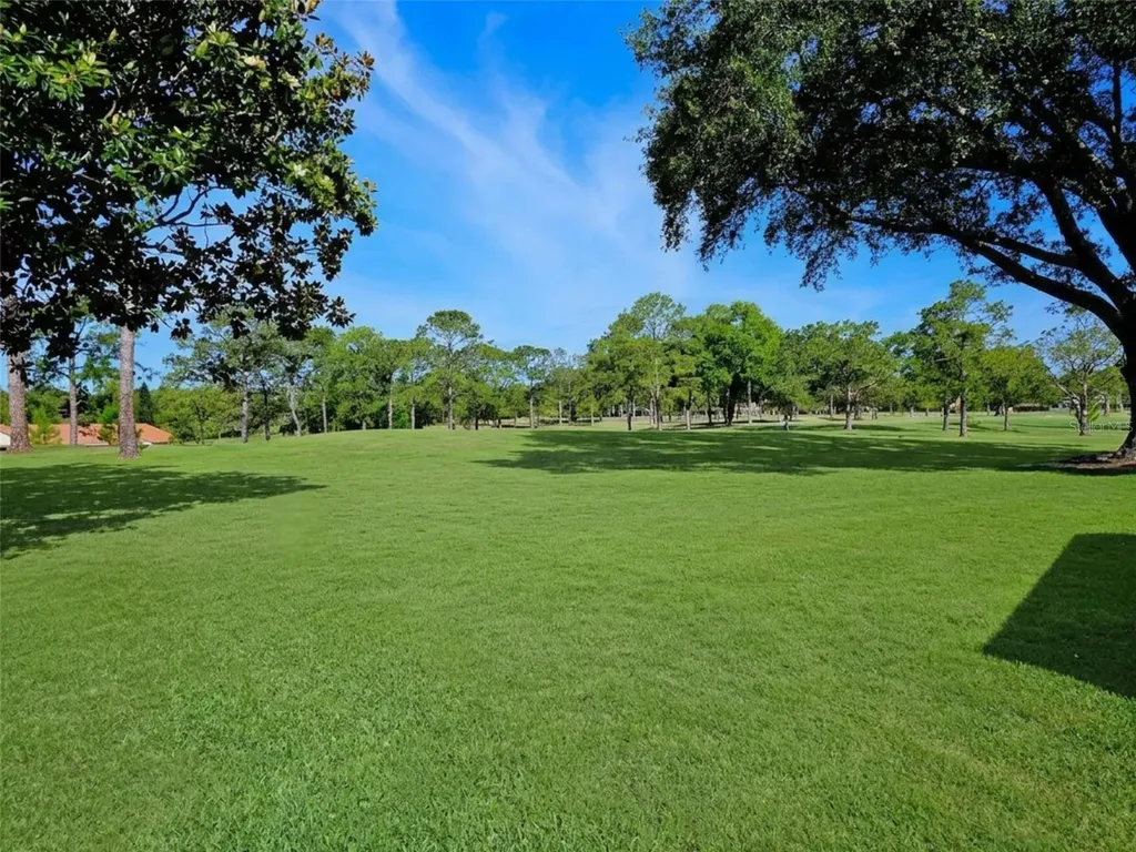 1166 Gillespie Drive Palm Harbor FL 34684