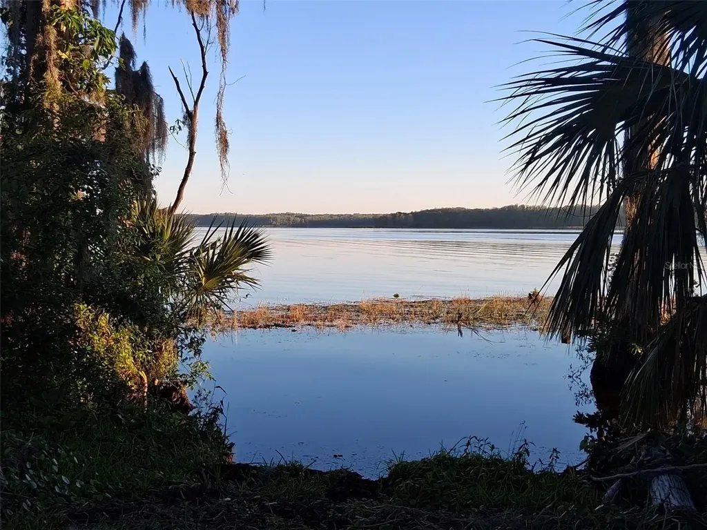 1166 Gillespie Drive Palm Harbor FL 34684