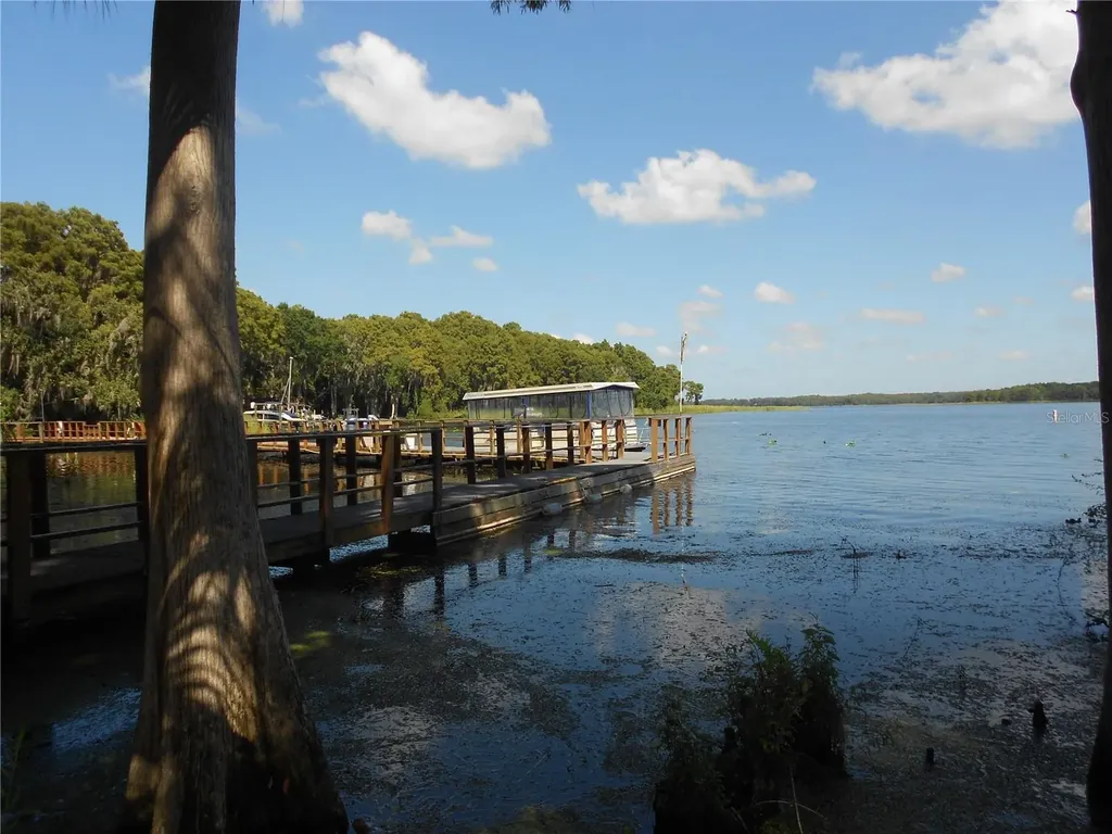 1166 Gillespie Drive Palm Harbor FL 34684
