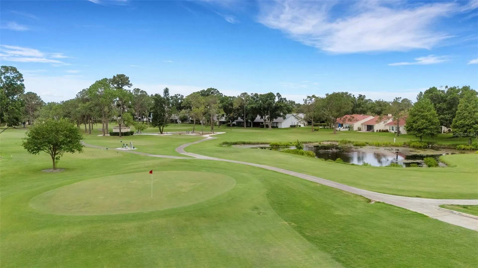 1166 Gillespie Drive Palm Harbor FL 34684