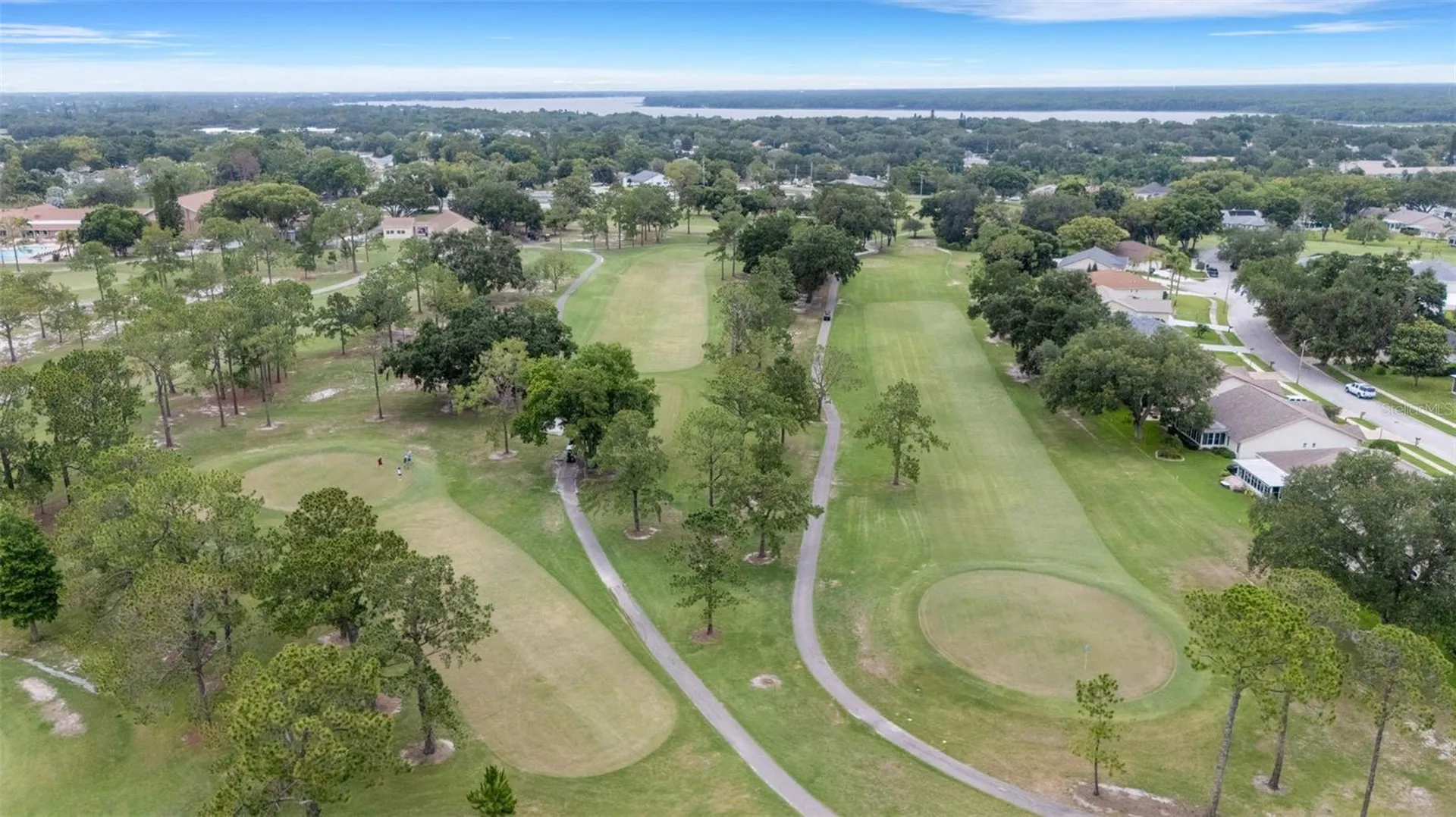 1166 Gillespie Drive Palm Harbor FL 34684