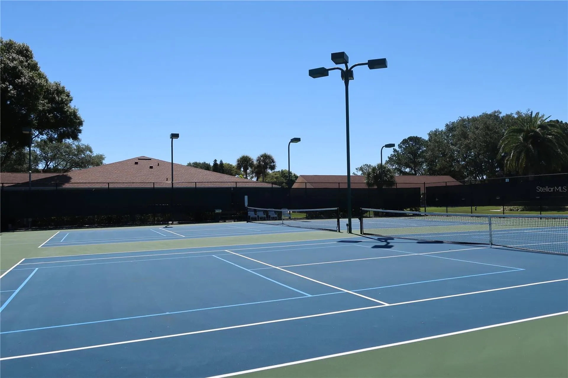 1166 Gillespie Drive Palm Harbor FL 34684