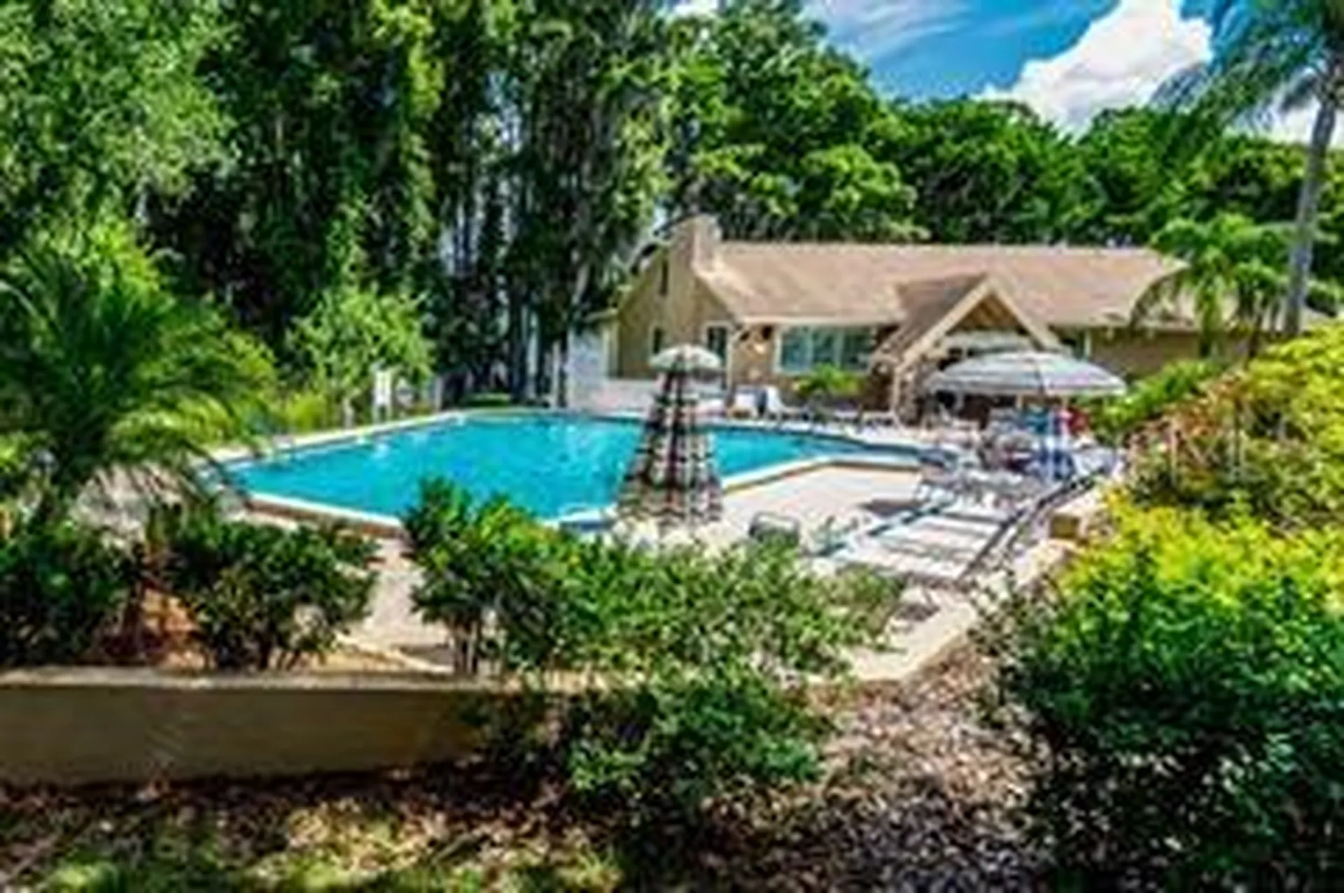 1166 Gillespie Drive Palm Harbor FL 34684