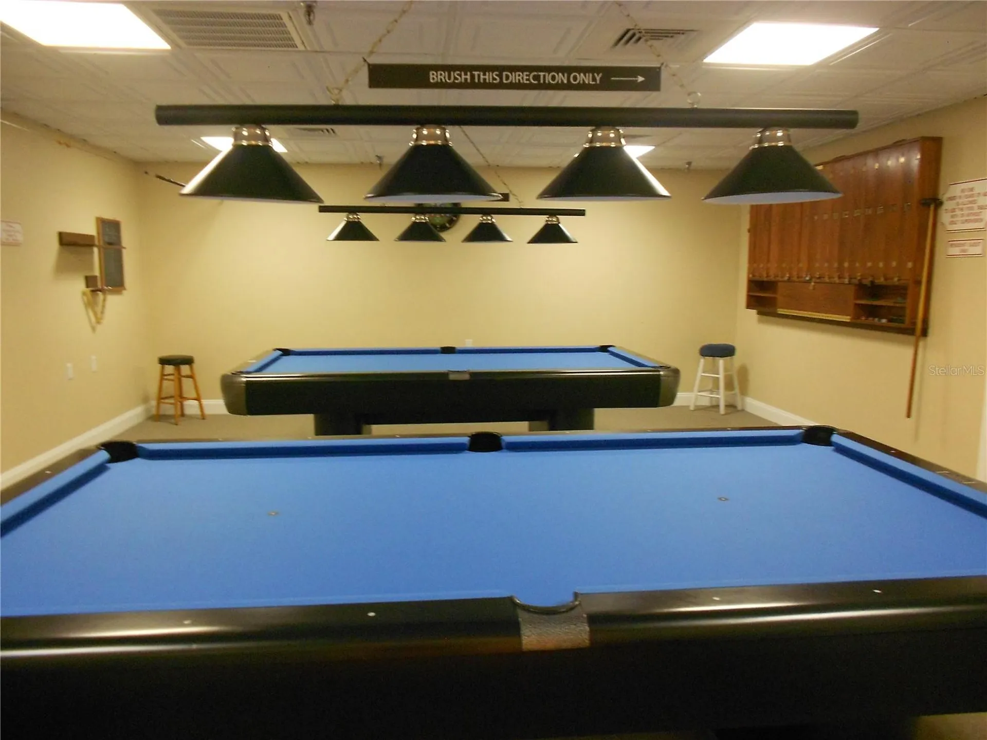 1166 Gillespie Drive Palm Harbor FL 34684