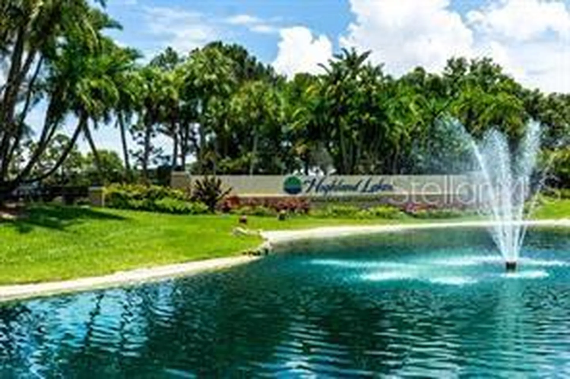 1166 Gillespie Drive Palm Harbor FL 34684