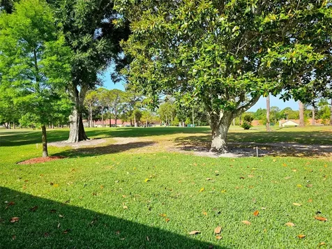 1166 Gillespie Drive Palm Harbor FL 34684