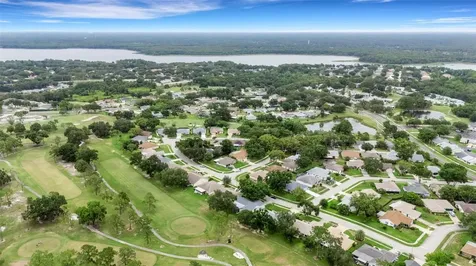 1166 Gillespie Drive Palm Harbor FL 34684