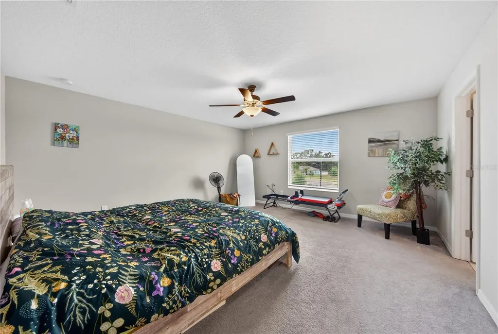 10291 Shady Preserve Drive Riverview FL 33578