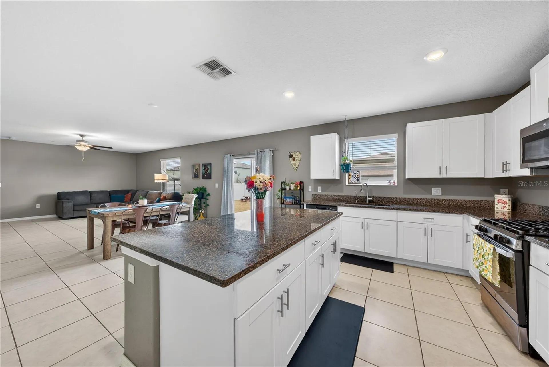 10291 Shady Preserve Drive Riverview FL 33578
