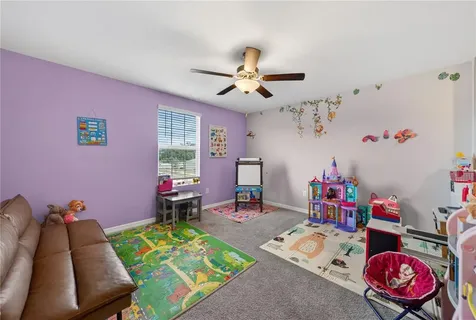 10291 Shady Preserve Drive Riverview FL 33578