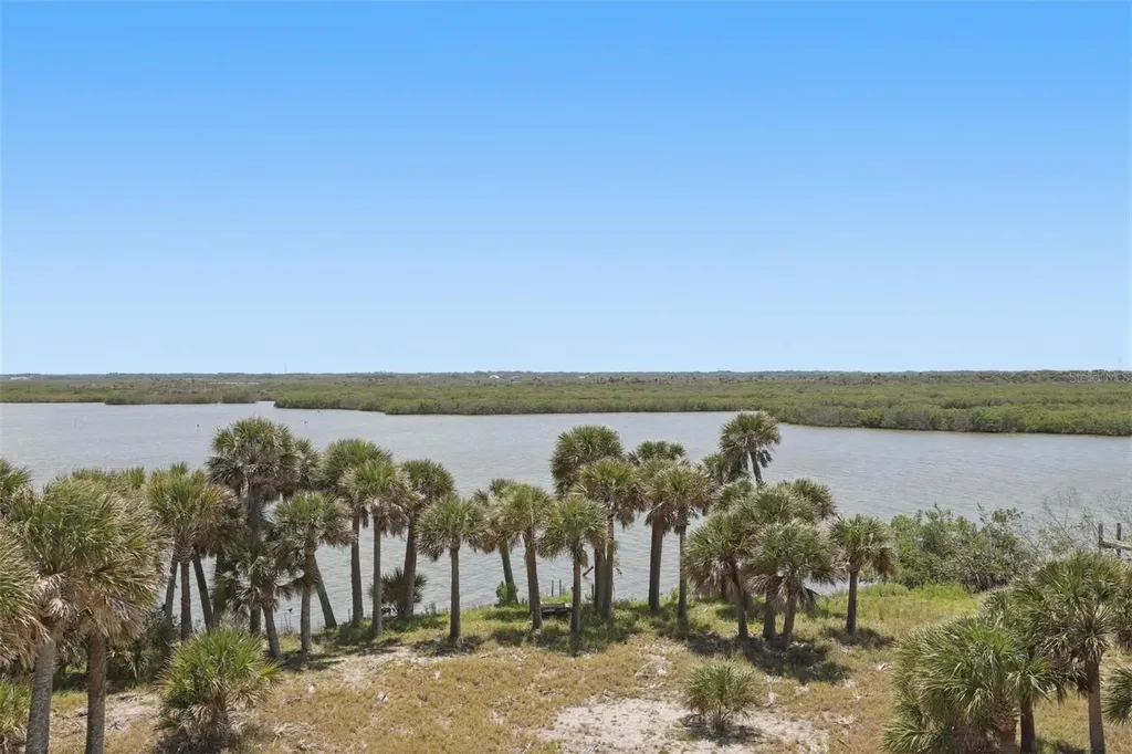 856 Ladyfish Avenue New Smyrna Beach FL 32169