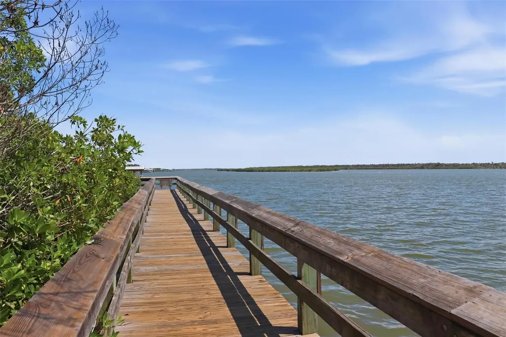 856 Ladyfish Avenue New Smyrna Beach FL 32169