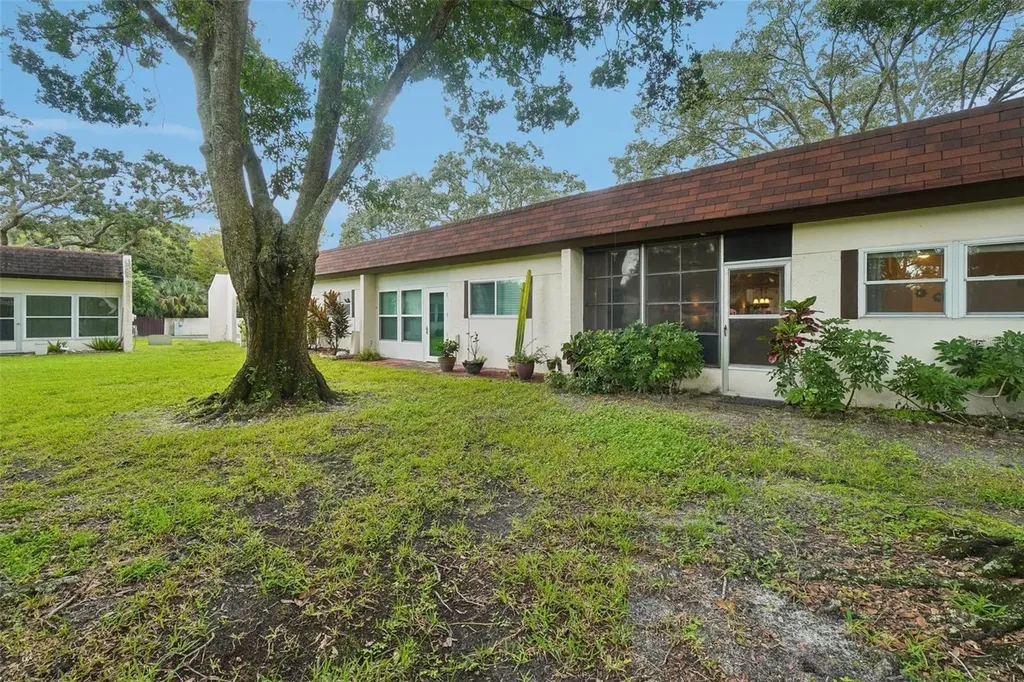 3157 Mission Grove Drive Palm Harbor FL 34684
