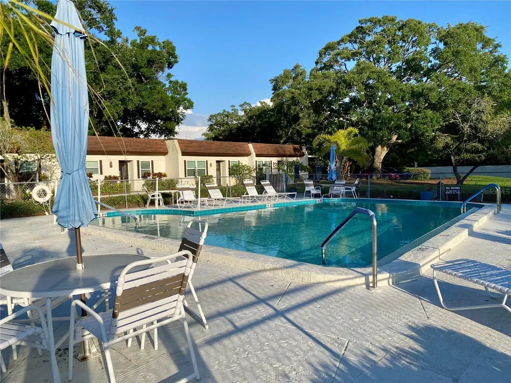 3157 Mission Grove Drive Palm Harbor FL 34684