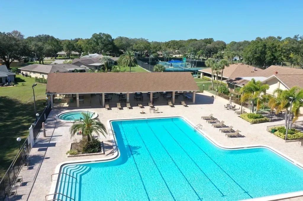 3157 Mission Grove Drive Palm Harbor FL 34684