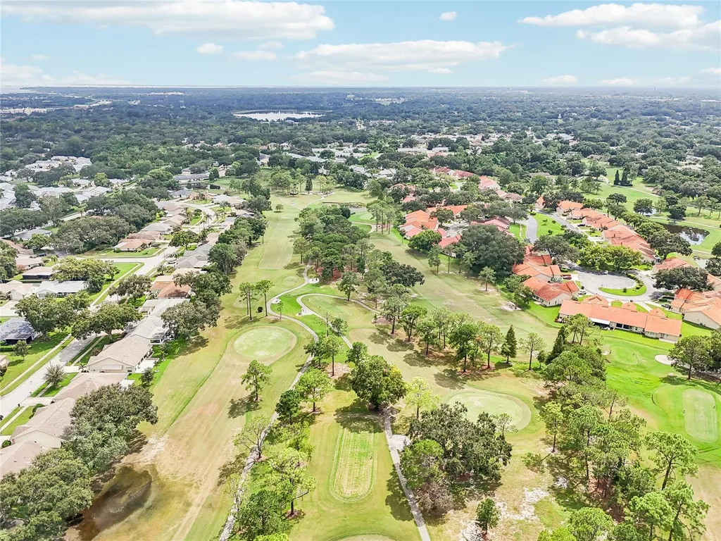 3157 Mission Grove Drive Palm Harbor FL 34684